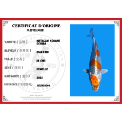 METALLIC KOGANE OCHIBA